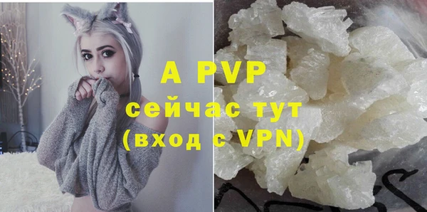 spice Беломорск