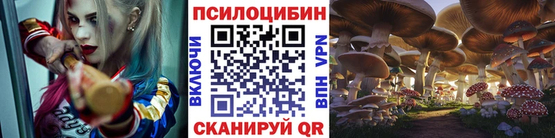 Псилоцибиновые грибы MAGIC MUSHROOMS  цены   Томмот 