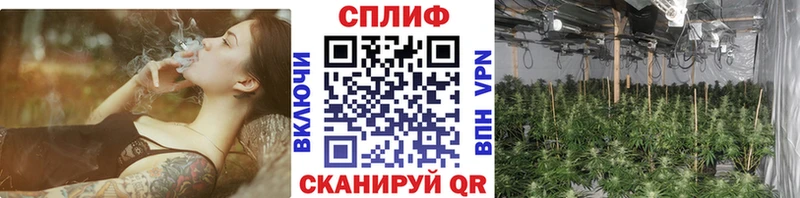 Марихуана AK-47 где можно купить Томмот